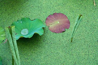 《KLAP!! ～爱与惩罚～for nintendo switch》主要角色介绍